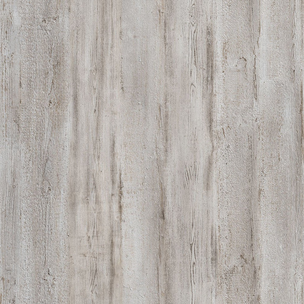 Canyon arctic pine